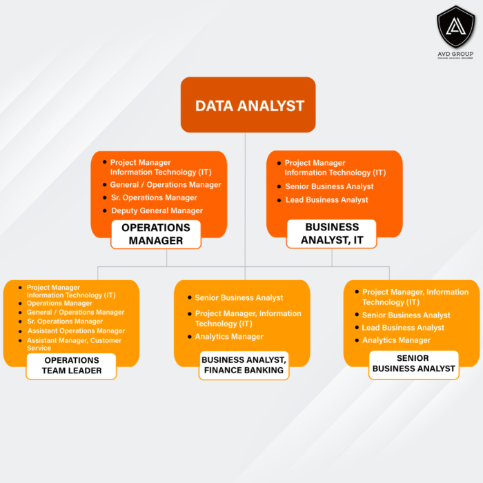 Kuliah Data Analyst Pune